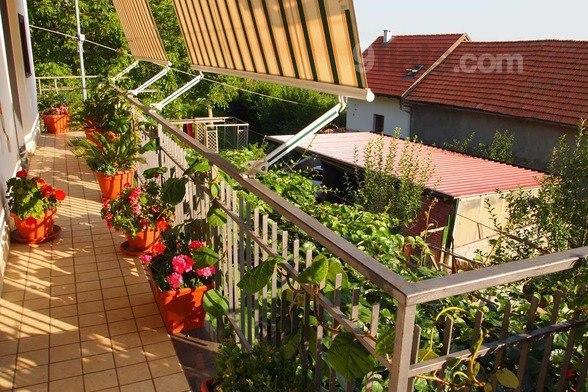 Agriturismo Zi Carmine Agerola Ngoại thất bức ảnh